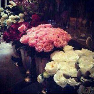 instagram:fanar95