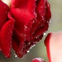 Fhdij Fehdgj (@5917b130bf68432) Twitter
