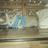 aditya_dhani's profile image