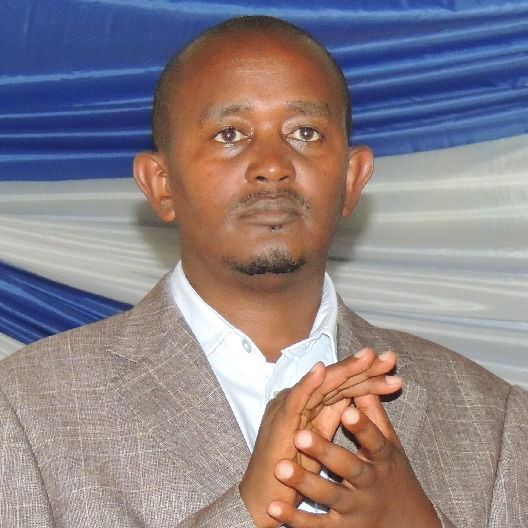 arevivalpalace's profile picture. 