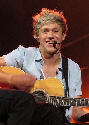 NiallEat_Me's profile picture. as melhores coisas da vida é pra ser comida! Niall e Harry me comam! Oh vida de Niall girl! !!E dai q sou doida sofredora e shippo Narry?