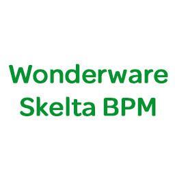 Business Process Management (BPM) and Advanced Workflow solutions by Schneider Electric