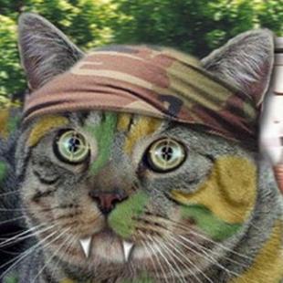 MODELbER's profile picture. 