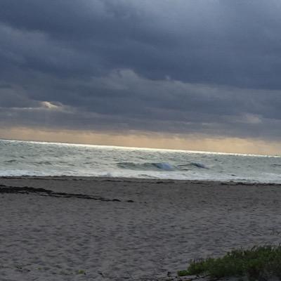 harryhood02's profile picture. 