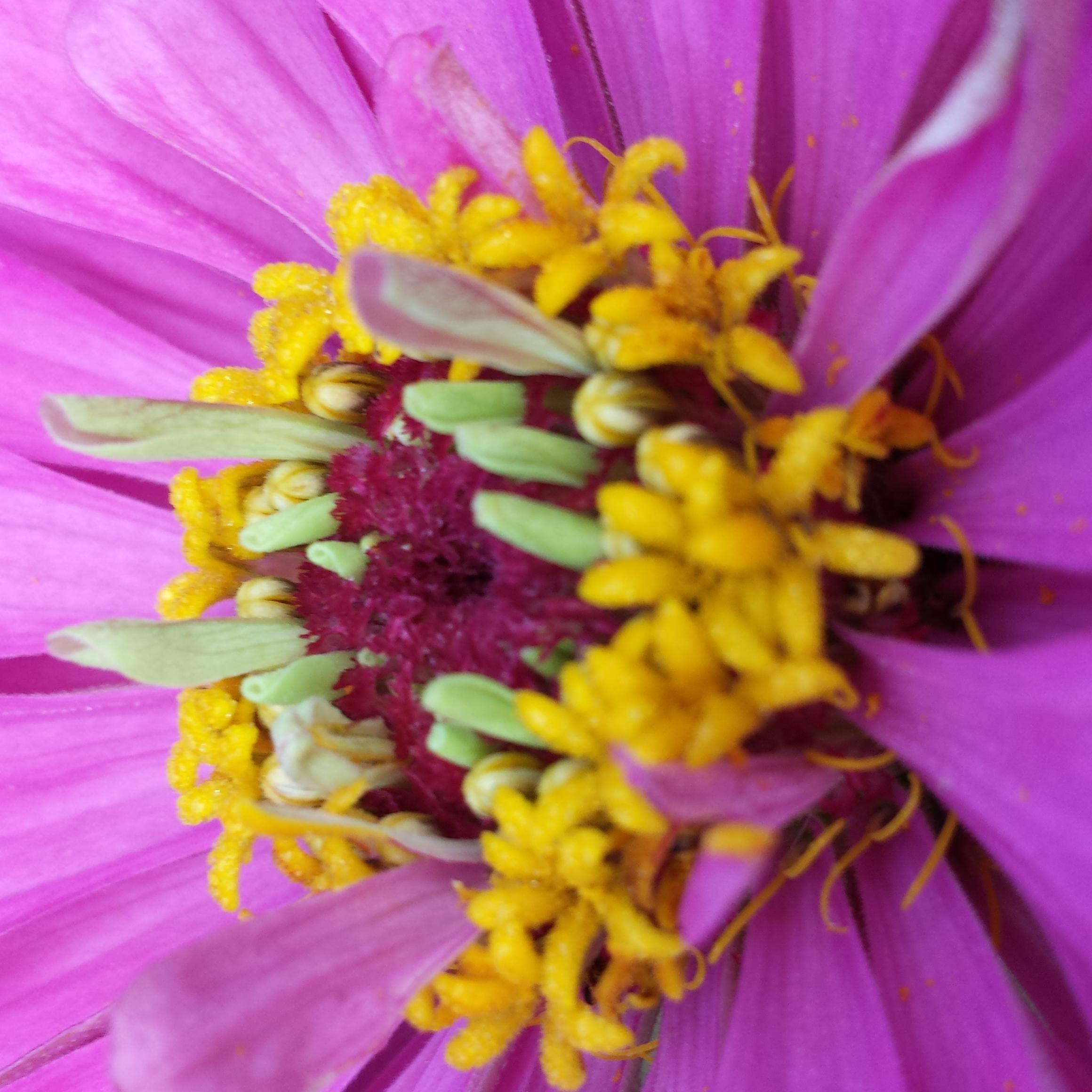 PFrank_Speaking's profile picture. UMC Pastor