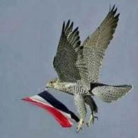 كاسر قرن الشيطان (@akraam088) Twitter profile photo