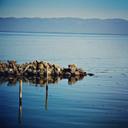 dan bender - @onestepkoala86 - Twitter