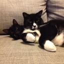 Kelly Loveday - @mmeloveday - Twitter