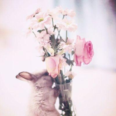 허브さんのプロフィール画像
