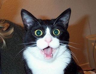 extender634's profile picture. 