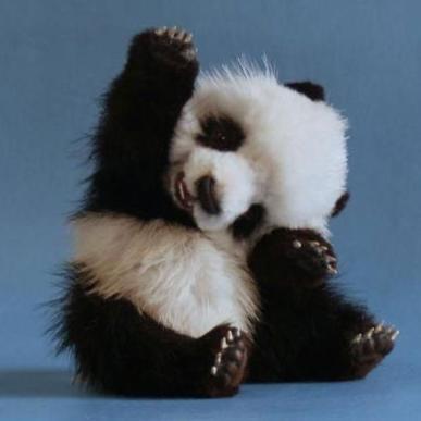 Twitter पर 癒やしの動物gif画像まとめ よしよし Http T Co Xq4zpqbsqm Twitter पर 癒やしの動物gif画像まとめ よしよし Http T Co Xq4zpqbsqm