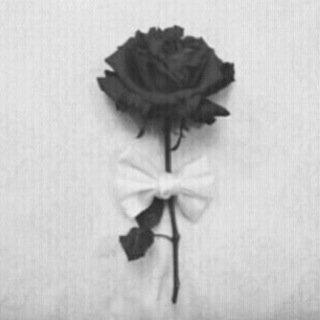 ٺمْوُٺ آلُآﭸلُآمْ ٺﭸٺ مْڛمْﮯ عٌآڊآٺ وُٺقٌآلُيُڊ ~●●