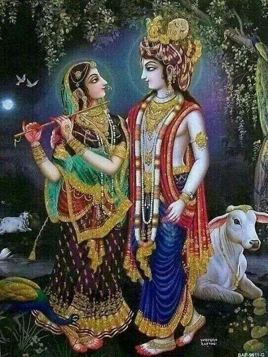 abhinavmantri's profile picture. 