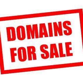 Domainer, Internet entrepreneur...