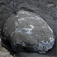 Everett Boulder (@everettboulder) 's Twitter Profile