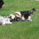 thomas marie - @mamydilpapou - Twitter