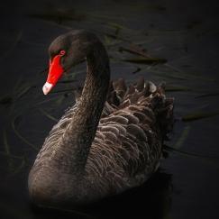 Konstanto_Iason's profile picture. I am a high school math teacher
#Μαθηματικά #Mathematics #Algebra #Geometry #Analysis