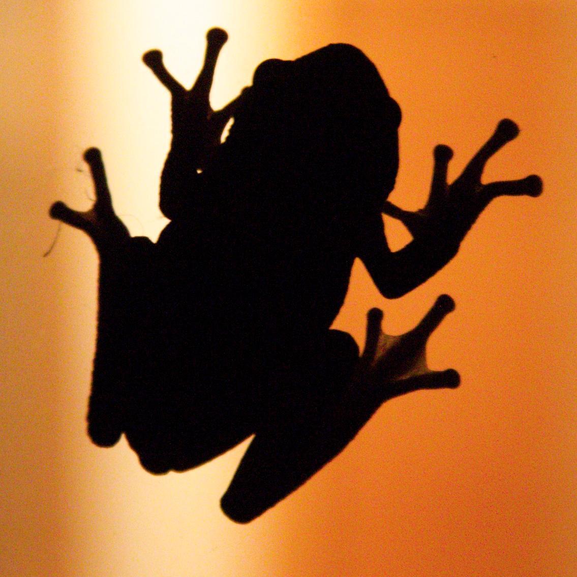 zaphar's profile picture. Someone thought it would be funny to make me an Engineering VP. I don't know whether I should be laughing or crying about it.
@zaphar@social.zaphar.net