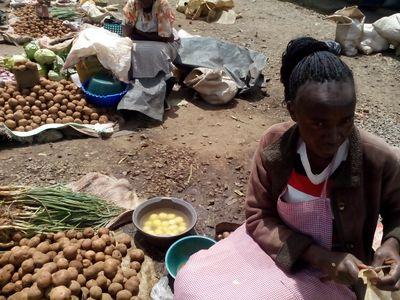 transfedha's profile picture. Women and youth grassroots microfinance in Kenya.