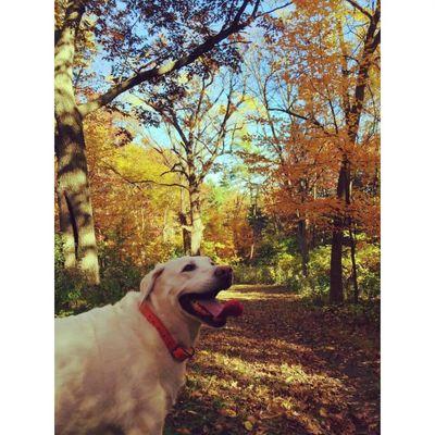 Prez-Dolan Consulting, Inc., Systems Implementation/Integration Consultant, Wife, Mom, Shoe and Cookbookaholic, Oenophile, Foodie, MN Wild fan, Blogger #Oracle