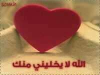 sajeeeed Profile Picture