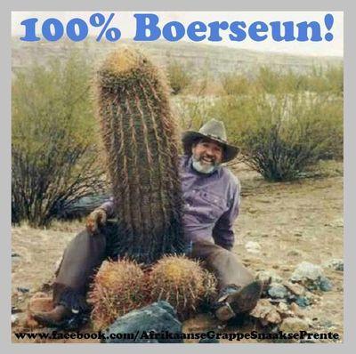 Plaasboer12's profile picture. R18 looking for women ho are married and want some fun on side im married and willing ask for Bbm or WhatsApp im form KZN around PMB