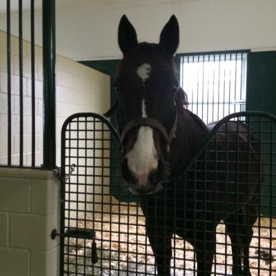 AdenaMturner's profile picture. 