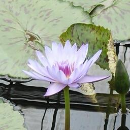 お取引用アカウントです。