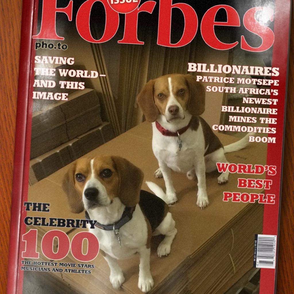 BrodysFavorites's profile picture. Beagle and his able assistant Benny saving you time & money by sniffing out the best-of-the-best from the also-rans.