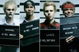 I love one direction and 5 seconds of summer is life