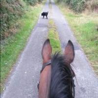Lillian Barry (@lillianbarry80) 's Twitter Profile