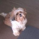 Patrick Barry - @BarryPbarry1981 - Twitter