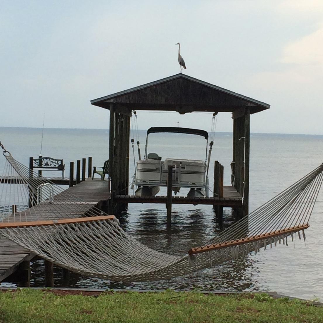 adm1axt's profile picture. 