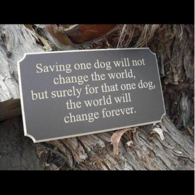 Sells81's profile picture. 