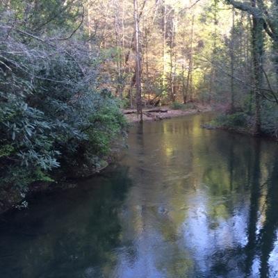 supertrek's profile picture. 