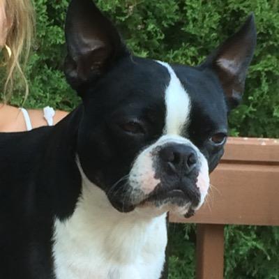 kschriver12's profile picture. 