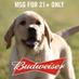 Budweiser Puppy (@BudweiserPuppy) Twitter profile photo