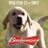 Budweiser Puppy
