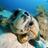 karapatdive's profile image