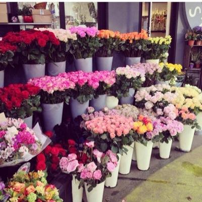 Happy29063373's profile picture. 