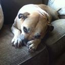 Barb Rauch Pelak - @dbpelak - Twitter