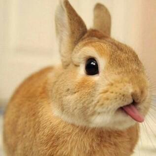 Sex blogger. Ethical non-monogamist. Slut. Feminist. Bisexual bunny