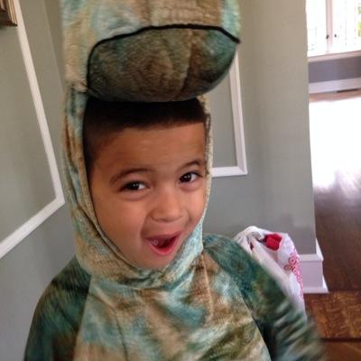 MMariani6's profile picture. 