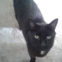 Kitty Richards - @Katheri44604703 - Twitter