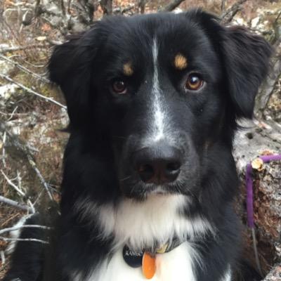 live and work in ak, enjoy the outdoors and good friends