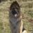 DWNZ07's profile image