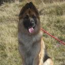 Donna Marie Lapsley - @DWNZ07 - Twitter