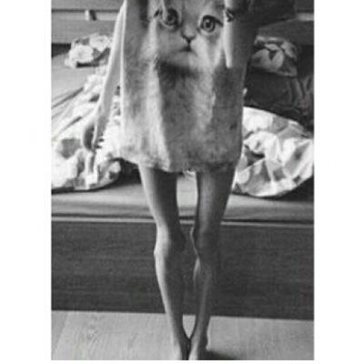 The dreams in which I'm dying are the best I've ever had. ~fat~