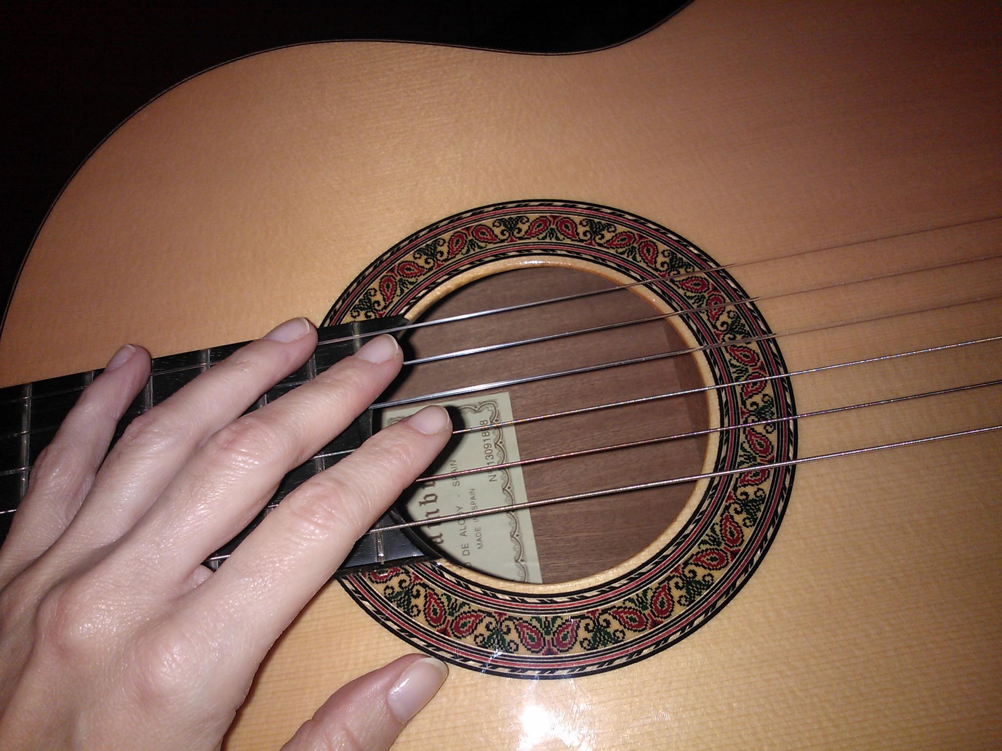 bonsaiprincess's profile picture. 