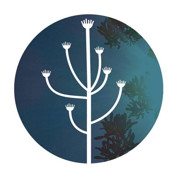 Micro label based in Toulon